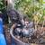 Chickens 3 thumbnail
