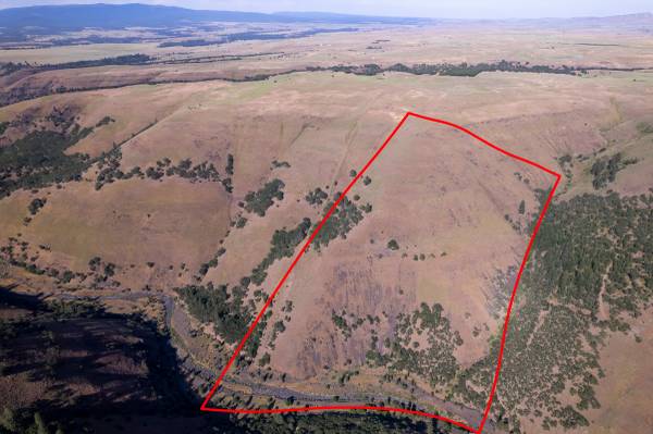$99,000 72.23 Acres | Creek Frontage | Private Escape63831396732929120