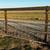 Gate-14 1/2 ft. pipe 2 thumbnail