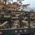 FIREWOOD 2 thumbnail