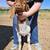 Young Boer Buck 4 thumbnail