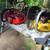 Tools, saws, air compressor, weedwacker, chainsaws*pic 1 thumbnail