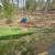 Purple Heart Brush Cutters and Lawn Service – Free Estimates 10 thumbnail