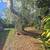 Yard Cleanup 7 thumbnail
