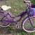 Bicycle cruiser 1 thumbnail