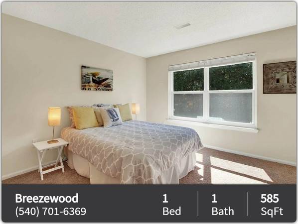 Charming 1 bed / 1 bath with great character! 585 Sq Feet 1