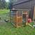 Chicken coop 2 thumbnail