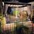 RV W LOT and SHED 24 thumbnail