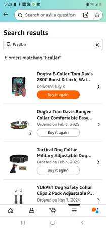 Tom Davis Dog Collar E Collar (WASHINGTON)63924992205059120
