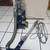 LIKE NEW-Shark- Bagless-Upright--Vacuum Cleaner 14 thumbnail
