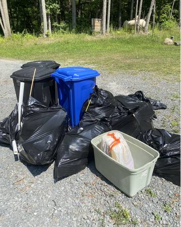 Need someone to pickup approx 10 black bags of trash for a move out 1