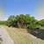 🌿 2.17 Acres with Paved Frontage – Balch Springs / Mesquite, TX 🌿NO 5 thumbnail