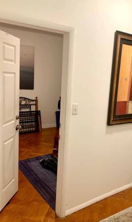 Roommate wanted  for 5 room, 4 bedroom apt. 1
