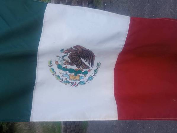 Mexican Flag 1