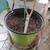 Coffee trees 21 thumbnail