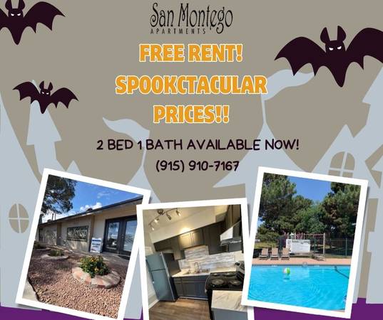 ✨FREE RENT!! 1