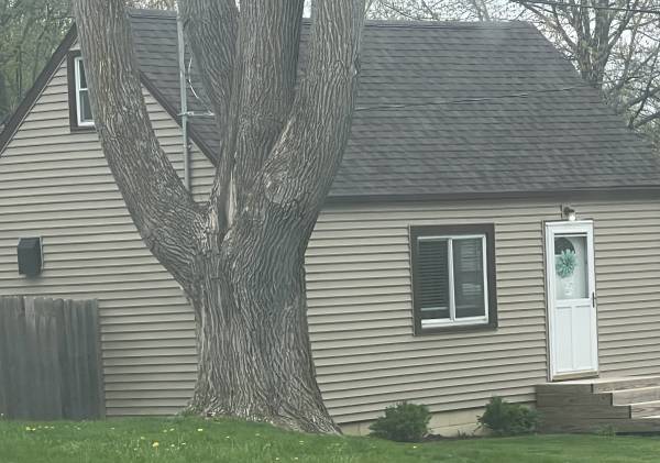 Lost my mac 12 pro iphone 1