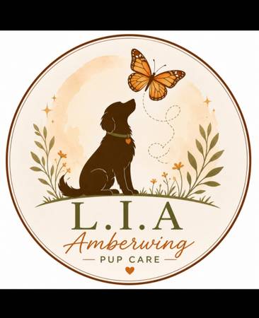 Dog Walking/Animal Care (Louisville)