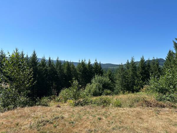 $290,000 9.58 Acres Vacant Land in Amboy (Amboy)64039057310721121