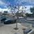 Eima tree services and landscaping 1 thumbnail