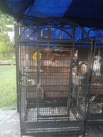 Large bird cage 1