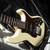 G&L S-500 USA 2 thumbnail