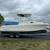Robalo 235 Walkaround 1 thumbnail
