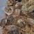 Celedon chicks quails/malard duck/Eggs 9 thumbnail