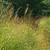 Yardwork 1 thumbnail