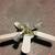 Ceiling Fan. In Good Condition. 39" Diameter 3 thumbnail