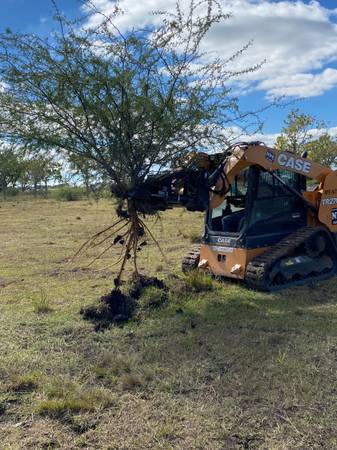 Brush Pulling Services 1