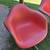 12 Herman Miller Eames Shell Chairs bench or individual bases 4 thumbnail
