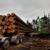 HTL 250/GT Hahn harvester logging tree processor 6 thumbnail