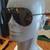 Porsche Design Sunglasses 2 thumbnail