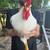 Rooster 1 thumbnail