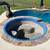 Pool Coping, Tile, & Plaster Repair Free Estimates Keller & DFW 2 thumbnail