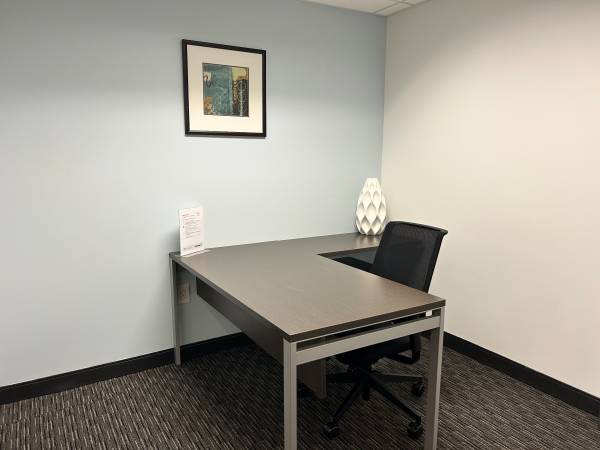 Stop Paying for Space You Don’t Use - Go Virtual 1