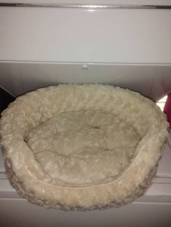 Pet bed 1