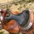 crates show saddle 9 thumbnail