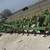 Cultivators, Chisel, Bedders and Mold Boards for Sale 11 thumbnail