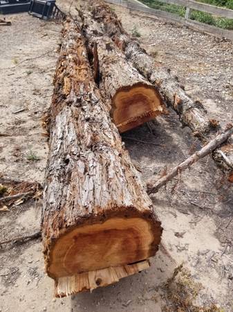 Redwood Logs 1