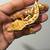 Crested Gecko 2 thumbnail