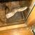 Ball pythons 5 thumbnail