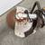 Evolution 866 12 in. | Electric Concrete Saw | Diamond Blade 4 thumbnail