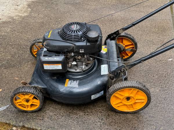 Poulan Pro 1