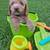 Mini Goldendoodles 6 thumbnail