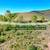36.07 acres, access to public lands and great views! 25-345 16 thumbnail