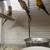 Sun Conures 4 thumbnail