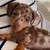 readyPup Dachshund 3 thumbnail