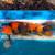 Koi fish 1 thumbnail